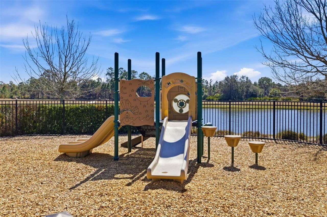 11903 Greenchop Place , Riverview, FL 33579 Photo