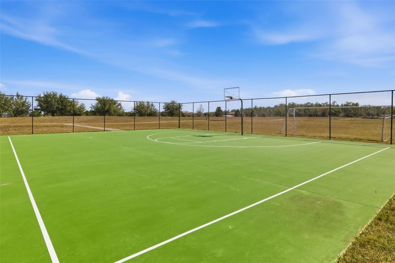 11903 Greenchop Place , Riverview, FL 33579 Photo