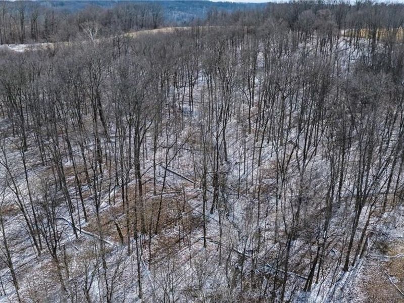 8160 Butcher Knife Road, Roseville, OH 43777 Photo 27