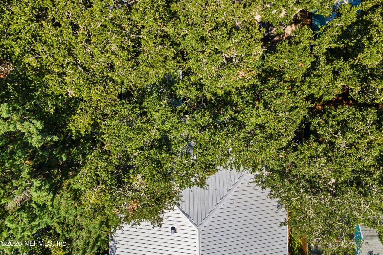 406 Third Street, Saint Augustine, FL 32084 Photo
