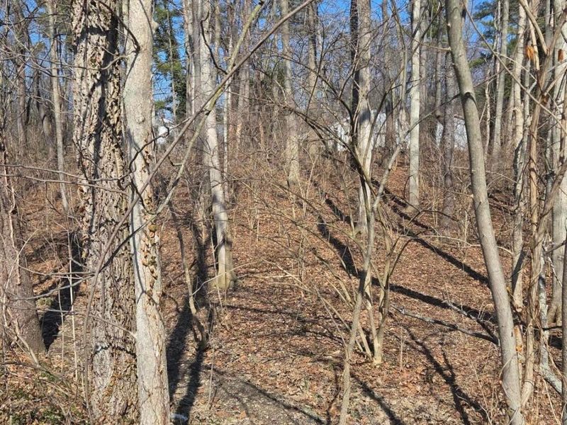 0 Edgecliff Drive , Columbus, OH 43235 Photo 4