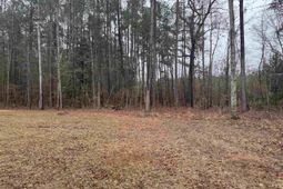 165 Ash Hill Drive  photo 4