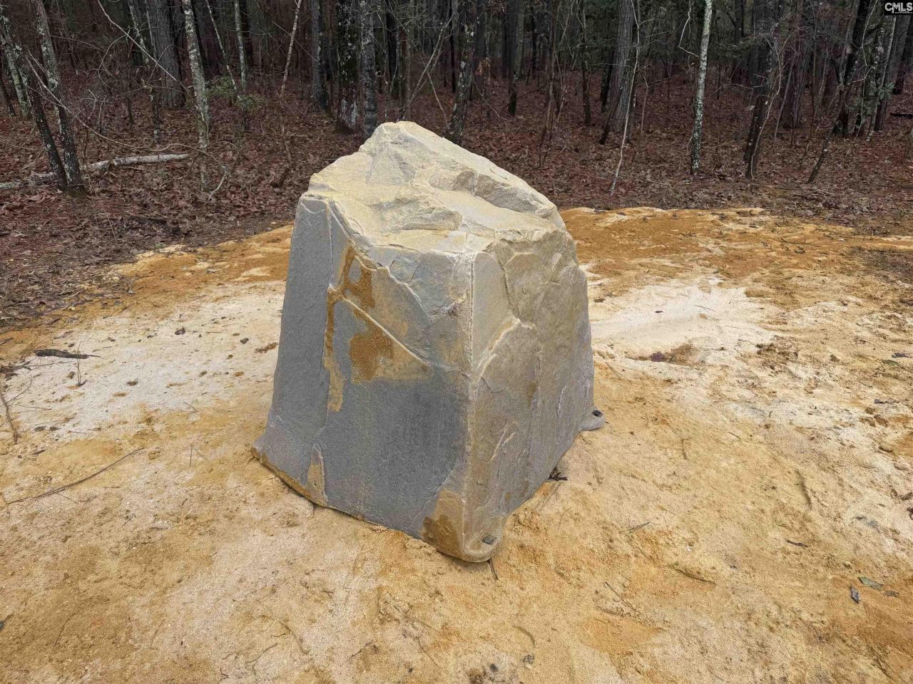 165 Ash Hill Drive  Photo 5