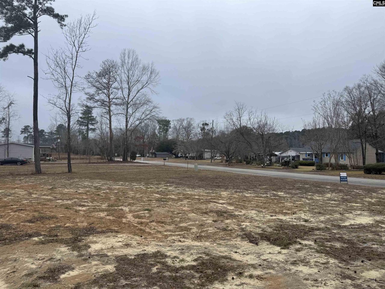 165 Ash Hill Drive Photo 7