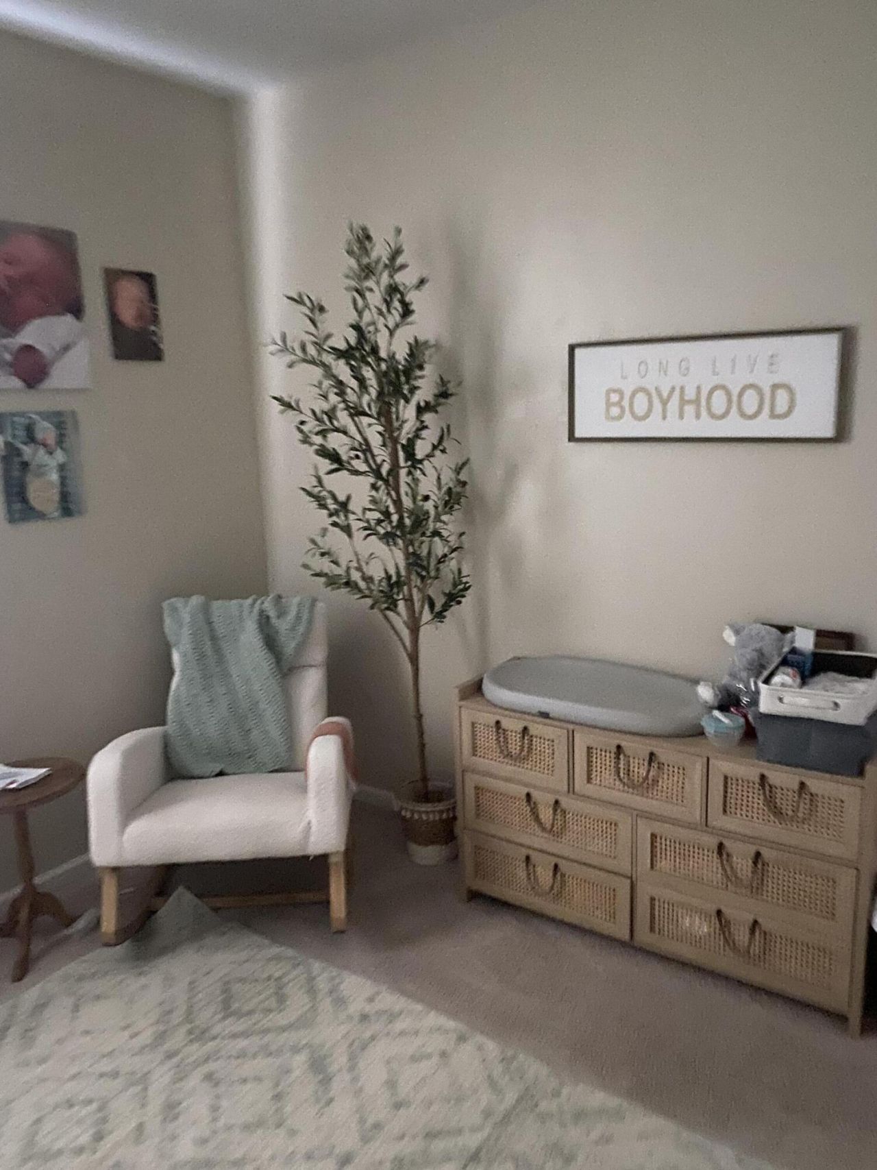 4838 Hawkins Drive Photo 20