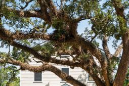 6 Stocker Drive photo 4