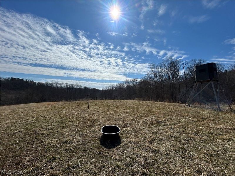 Ridgeview Lane , Blue Rock, OH 43727 Photo 10