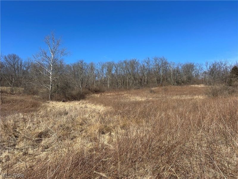 Ridgeview Lane , Blue Rock, OH 43727 Photo 11