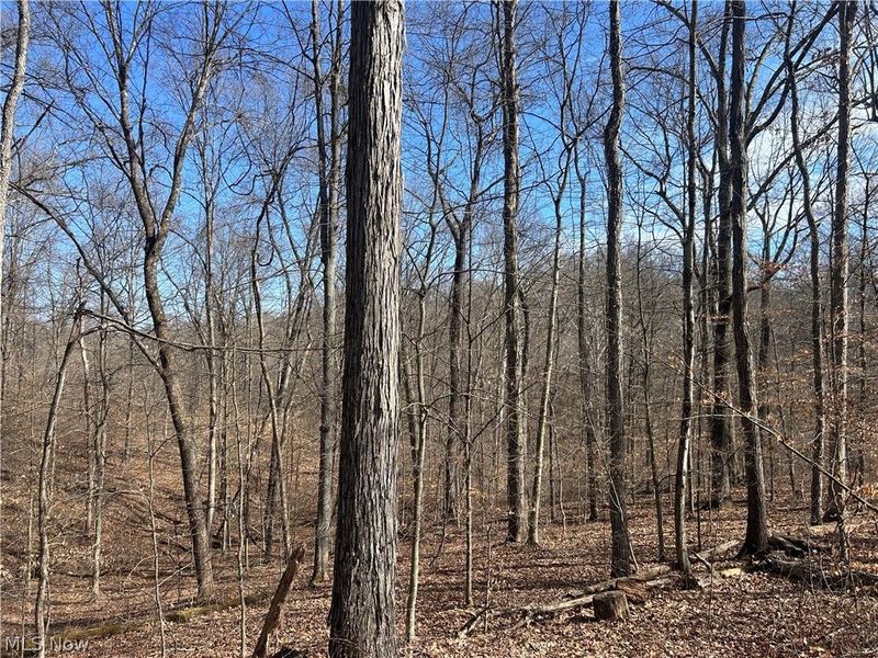 Ridgeview Lane , Blue Rock, OH 43727 Photo 14