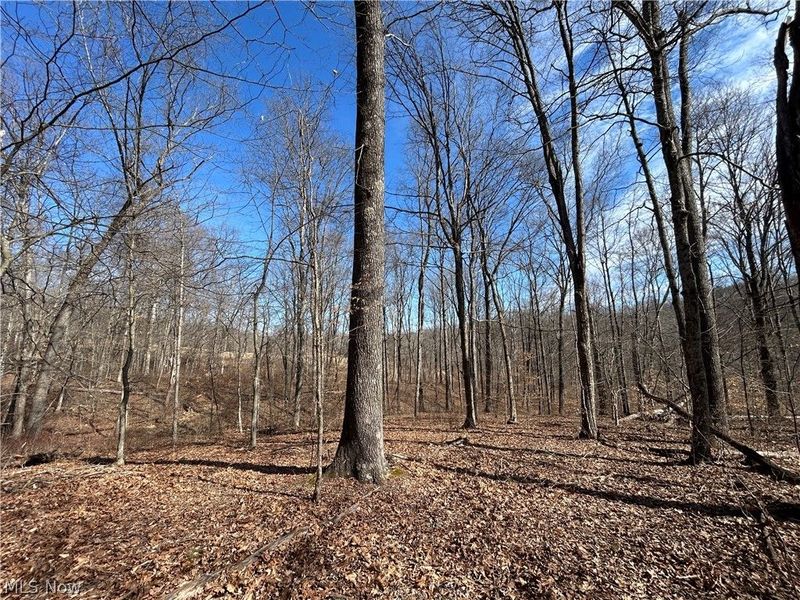 Ridgeview Lane , Blue Rock, OH 43727 Photo 15