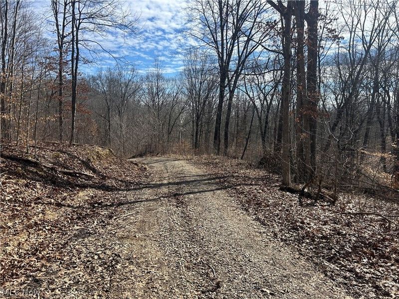 Ridgeview Lane , Blue Rock, OH 43727 Photo 16