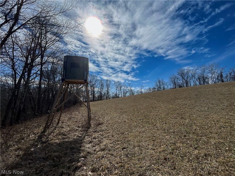 Ridgeview Lane , Blue Rock, OH 43727 Photo 2