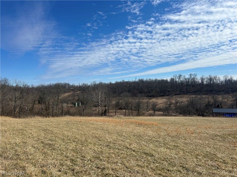 Ridgeview Lane , Blue Rock, OH 43727 Photo 20