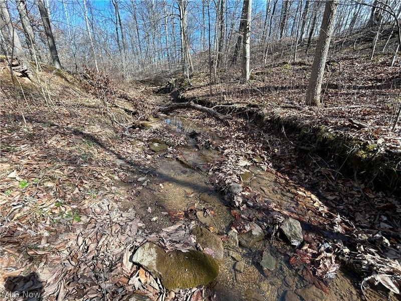 Ridgeview Lane , Blue Rock, OH 43727 Photo 23