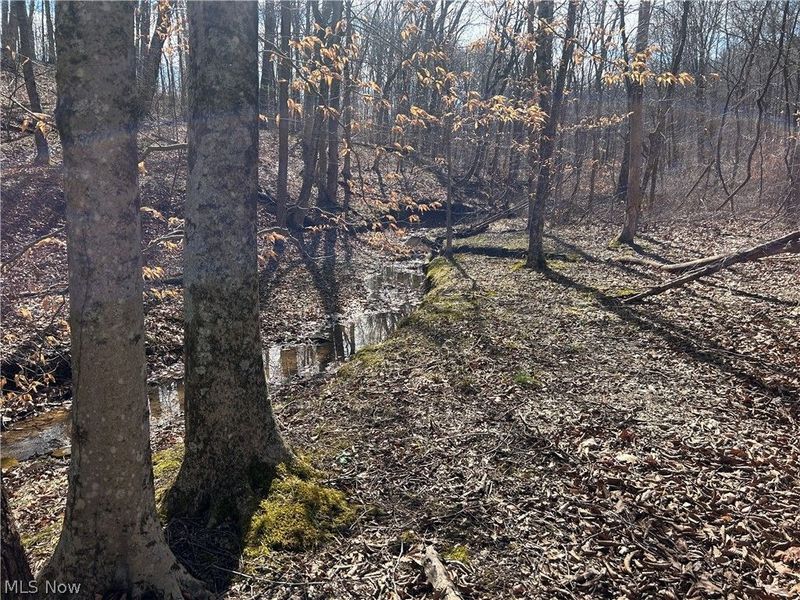 Ridgeview Lane , Blue Rock, OH 43727 Photo 25