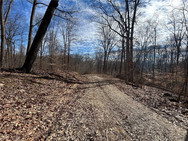Ridgeview Lane , Blue Rock, OH 43727 Photo 26