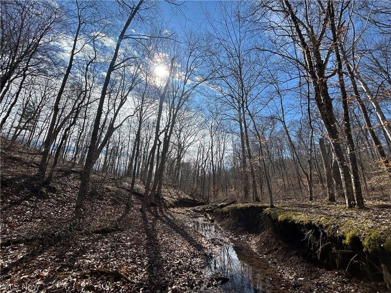 Ridgeview Lane , Blue Rock, OH 43727 Photo 27