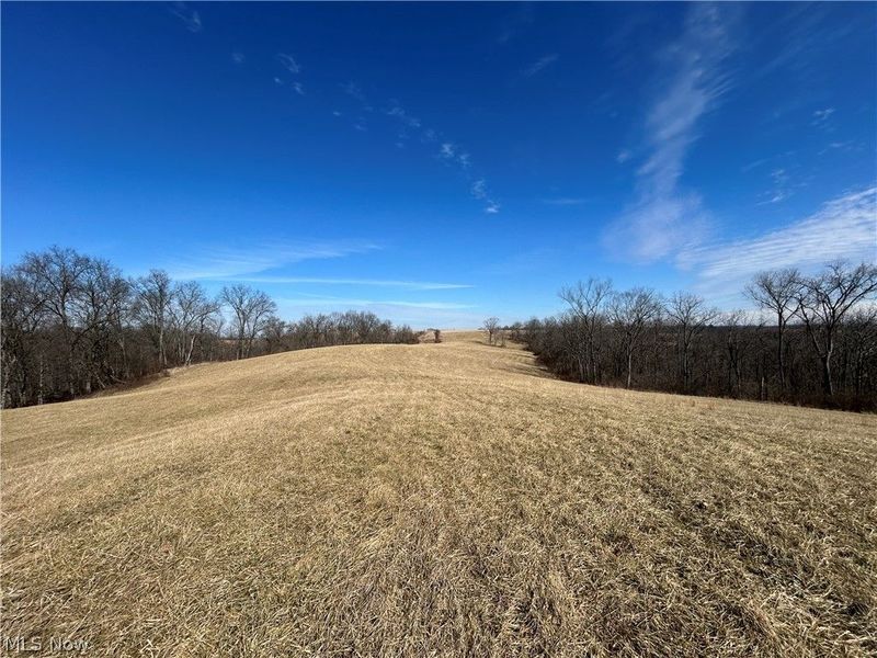 Ridgeview Lane , Blue Rock, OH 43727 Photo 28