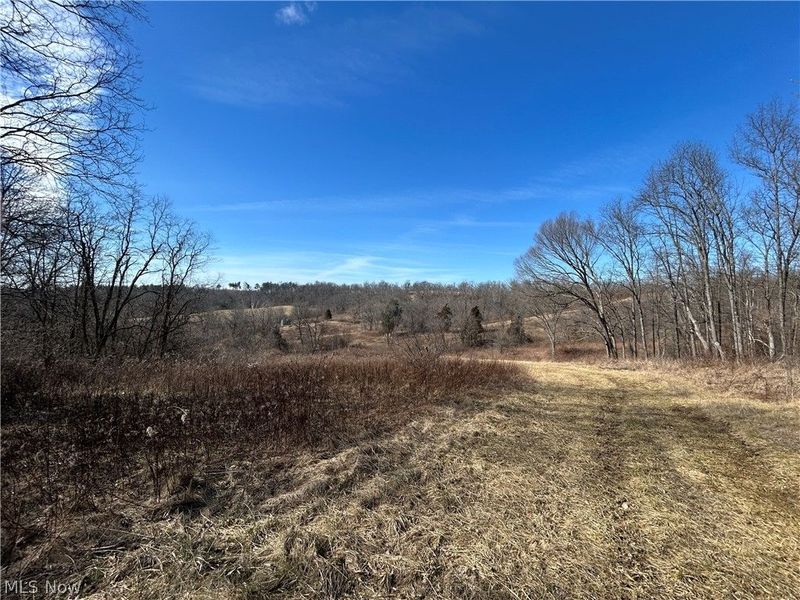 Ridgeview Lane , Blue Rock, OH 43727 Photo 29