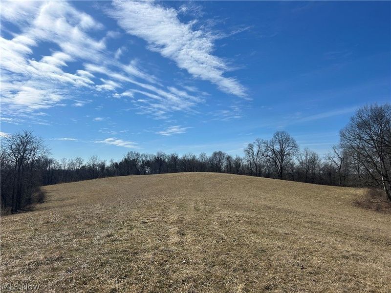 Ridgeview Lane , Blue Rock, OH 43727 Photo 3