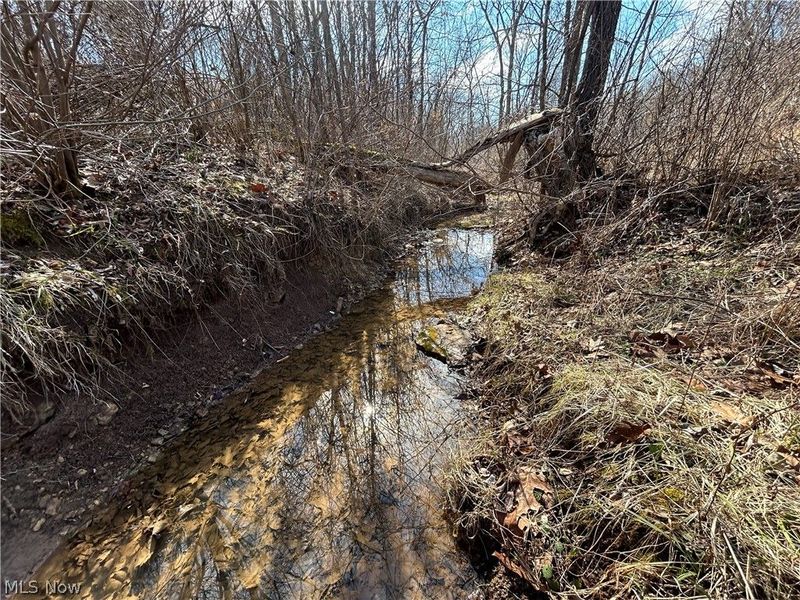 Ridgeview Lane , Blue Rock, OH 43727 Photo 30