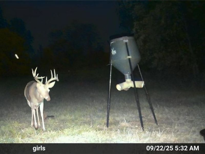 Ridgeview Lane , Blue Rock, OH 43727 Photo 31