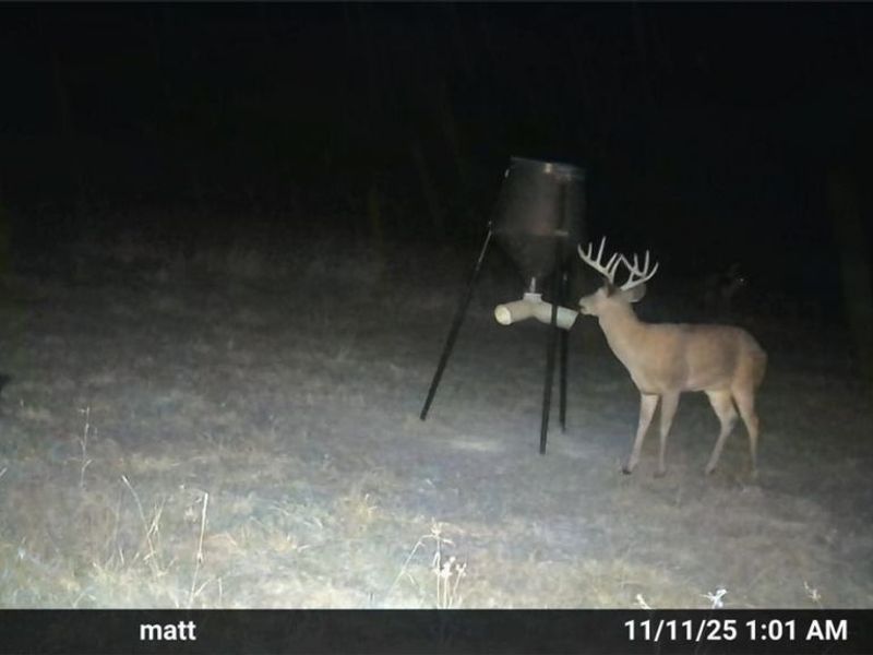 Ridgeview Lane , Blue Rock, OH 43727 Photo 33