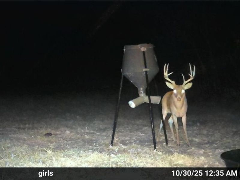 Ridgeview Lane , Blue Rock, OH 43727 Photo 35