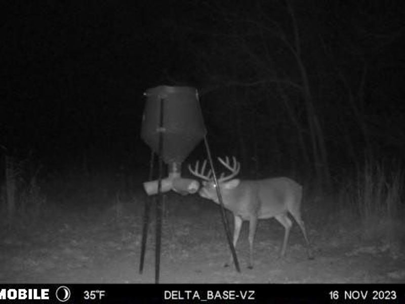 Ridgeview Lane , Blue Rock, OH 43727 Photo 36