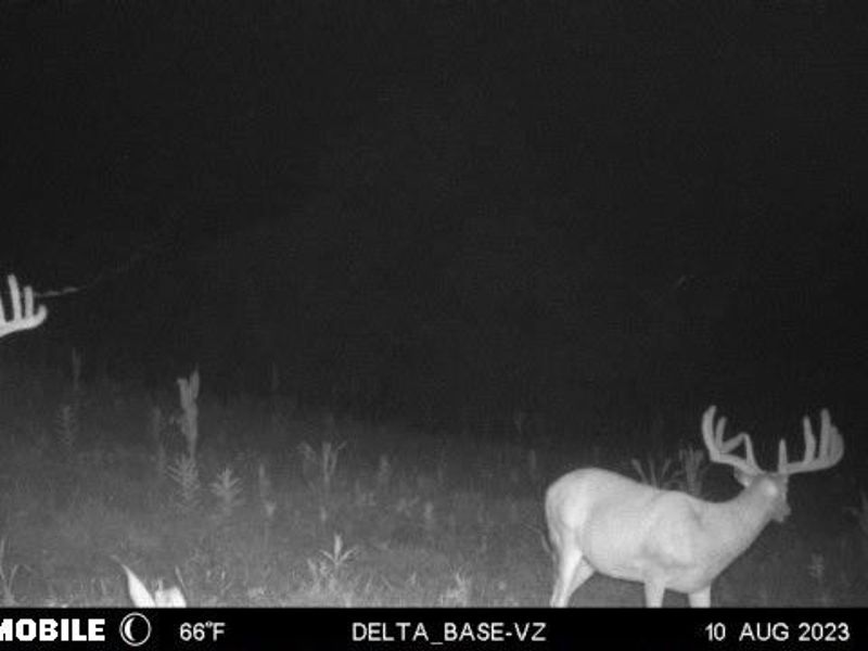 Ridgeview Lane , Blue Rock, OH 43727 Photo 37