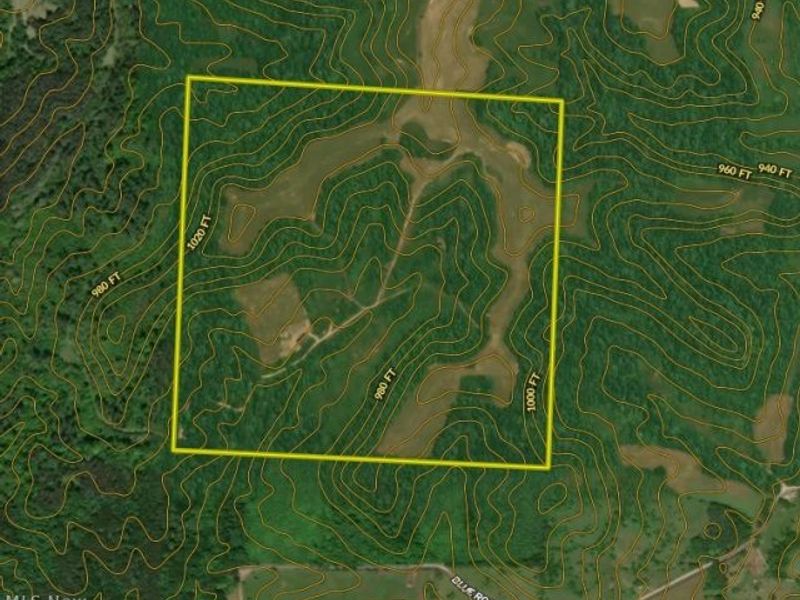 Ridgeview Lane , Blue Rock, OH 43727 Photo 39