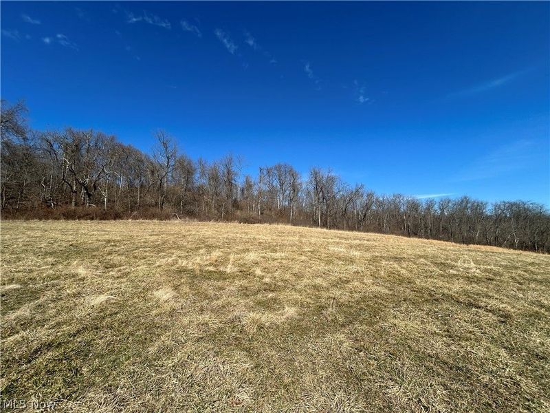 Ridgeview Lane , Blue Rock, OH 43727 Photo 4