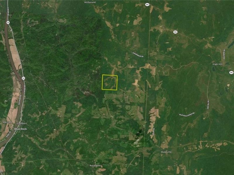 Ridgeview Lane , Blue Rock, OH 43727 Photo 41