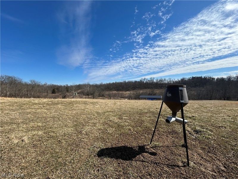 Ridgeview Lane , Blue Rock, OH 43727 Photo 5