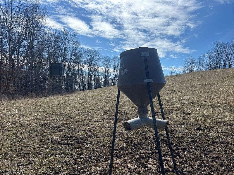 Ridgeview Lane , Blue Rock, OH 43727 Photo 6