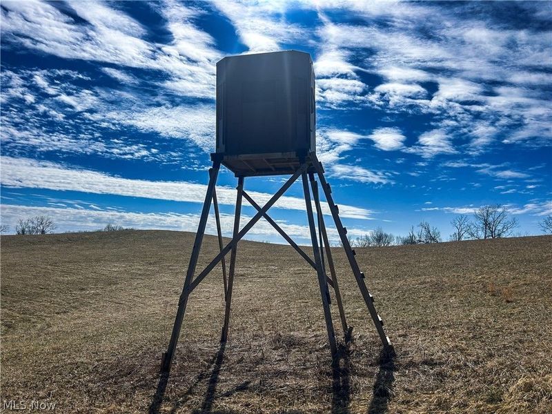 Ridgeview Lane , Blue Rock, OH 43727 Photo 7
