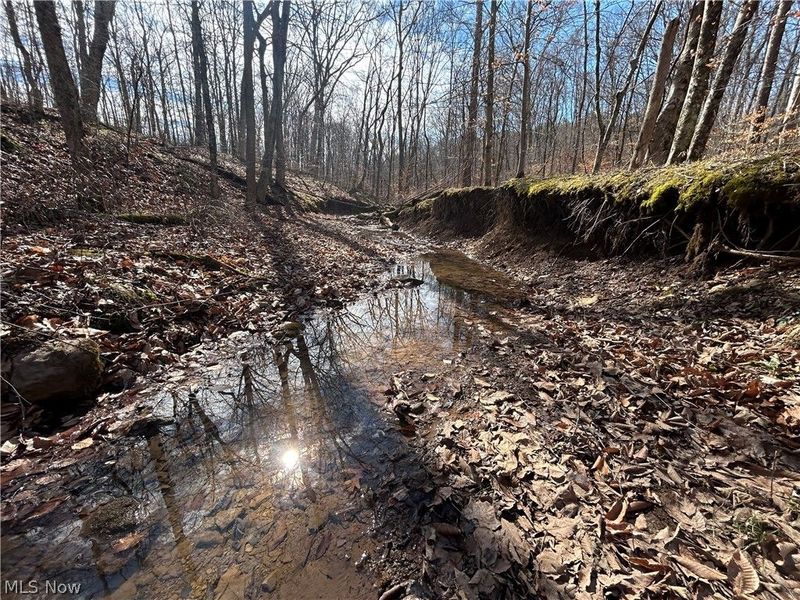 Ridgeview Lane , Blue Rock, OH 43727 Photo 9