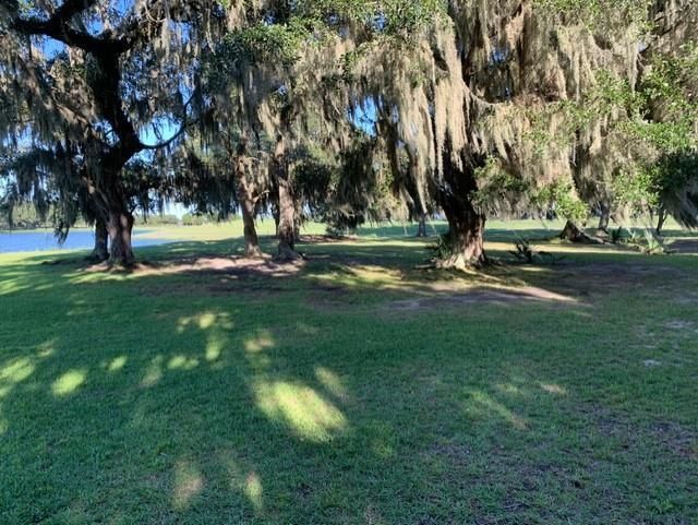 110 Swan Point Trail Photo 12