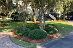 110 Swan Point Trail photo 4