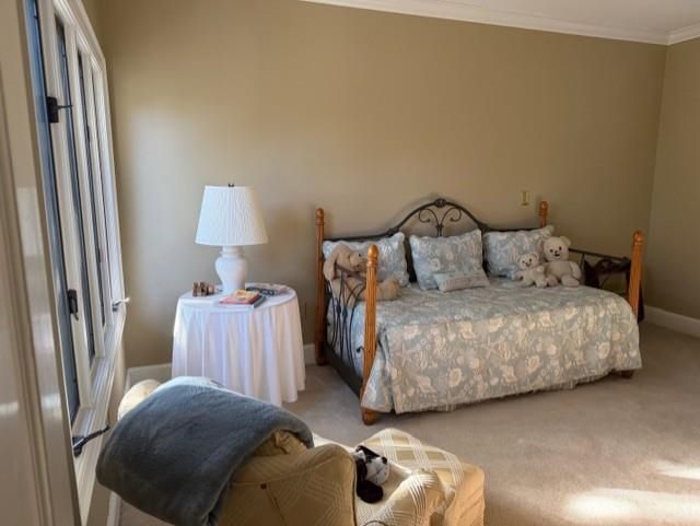 110 Swan Point Trail Photo 30