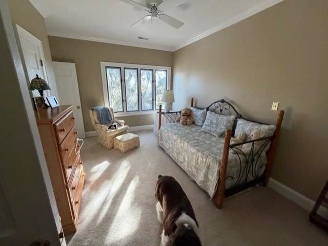 110 Swan Point Trail Photo 31