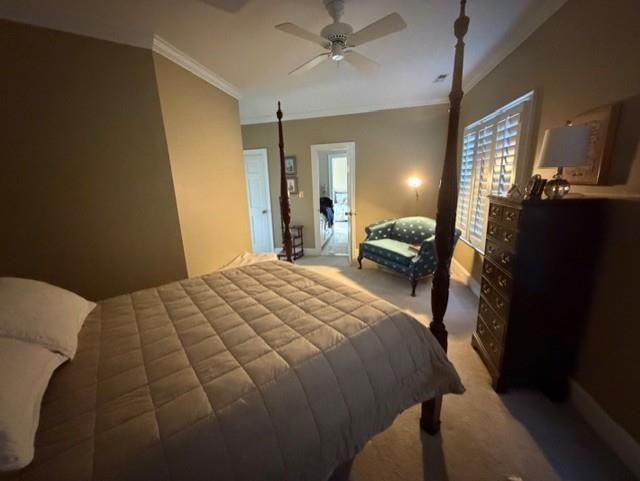 110 Swan Point Trail Photo 33