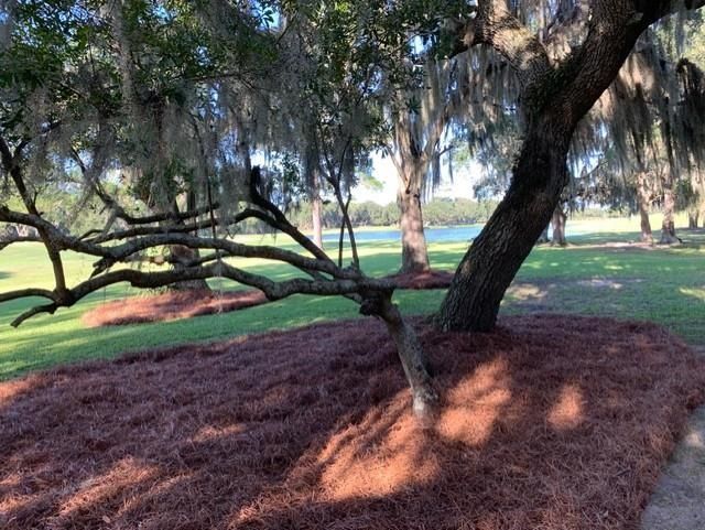 110 Swan Point Trail Photo 5