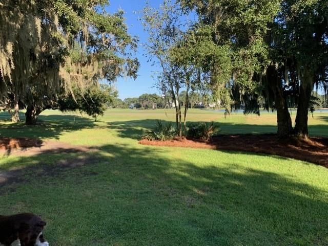 110 Swan Point Trail Photo 6