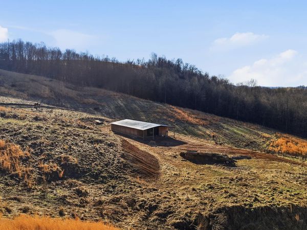 431 Strong Hollow Lane, Fort Blackmore, VA 24250