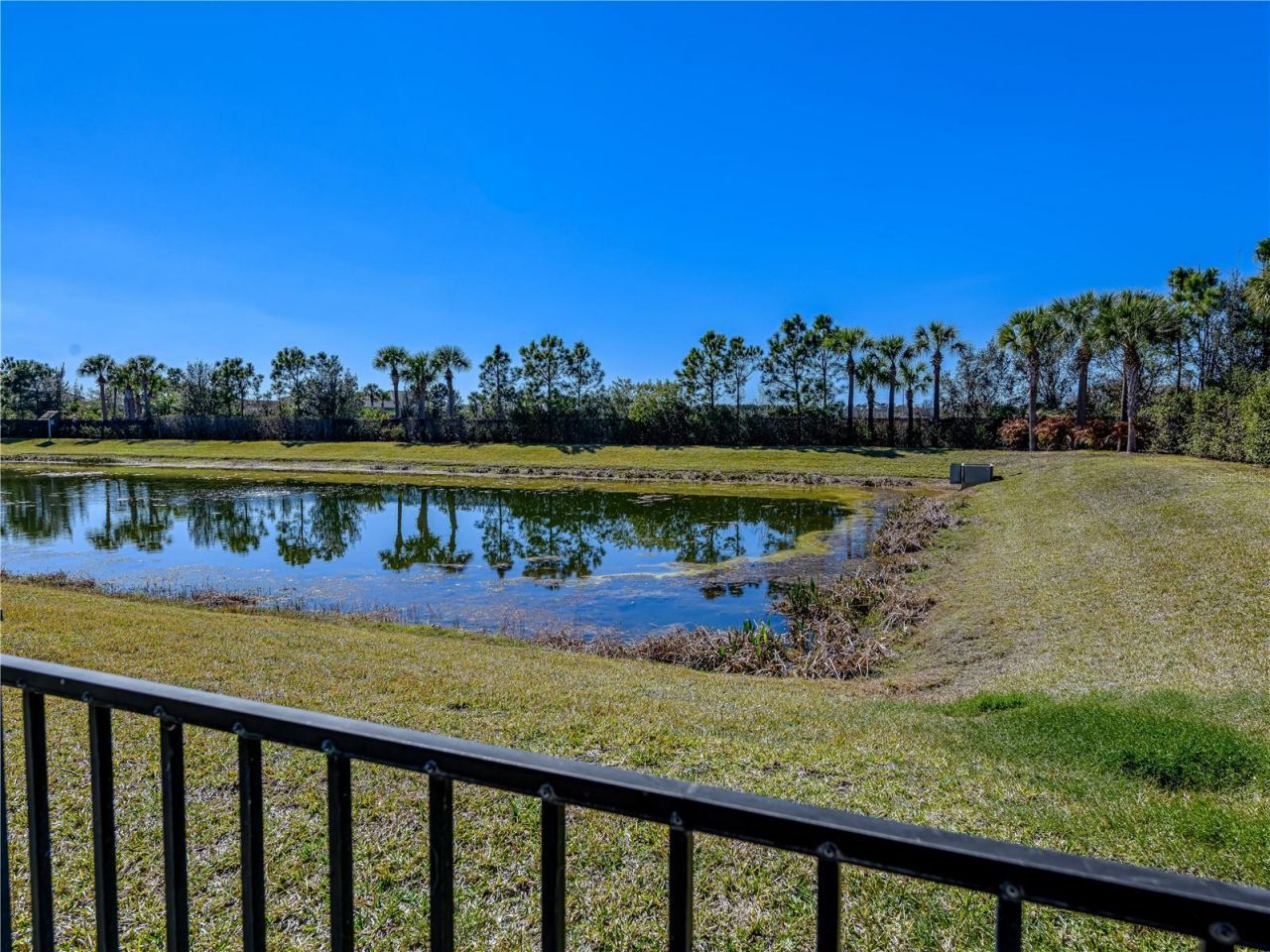 15303 Valencia Del Sol Street , Wimauma, FL 33598 Photo