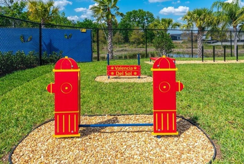 15303 Valencia Del Sol Street , Wimauma, FL 33598 Photo