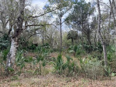 736 S SICKLE POINT , INVERNESS, FL 34450