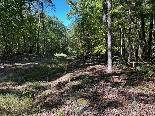 Lot 352 Diana Drive , Spring City, TN 37381