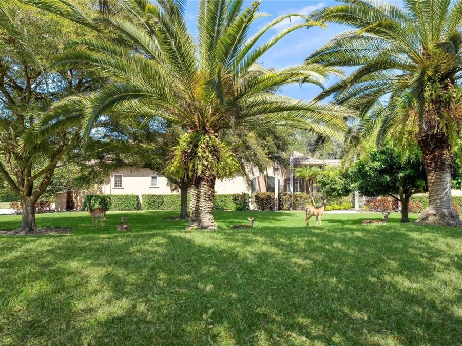 Property Image 54